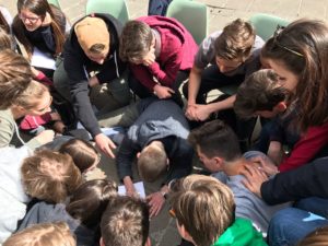 bravochilegge1 19.04 (8)