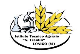 itas trentin logo